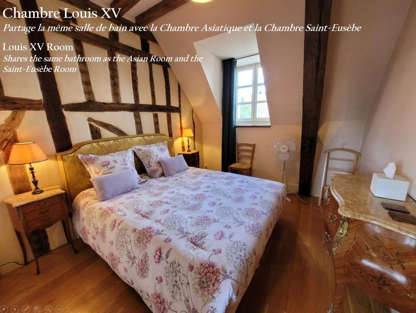 Saint-Eusebe Mansion - Hotel Particulier St-Eusebe Осер Екстер'єр фото